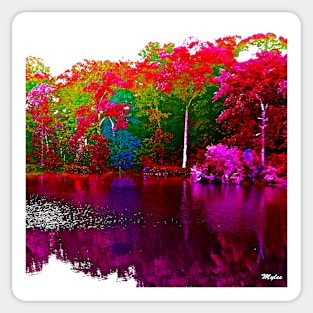 The Beautiful Trees By the Lake Sticker